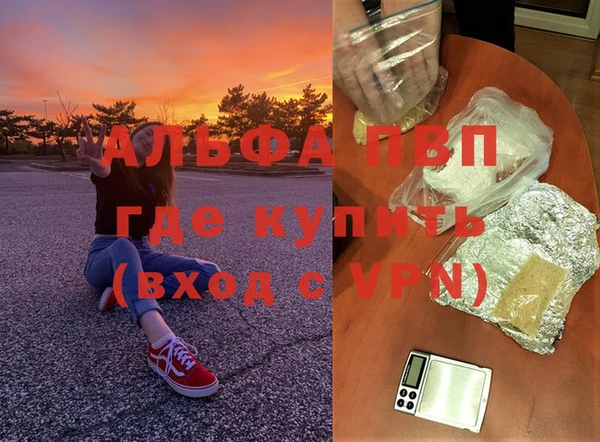 прущие крисы Верея