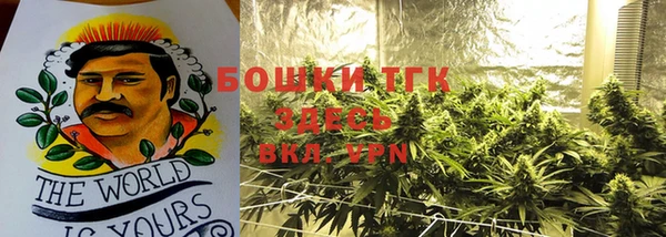 стаф Володарск
