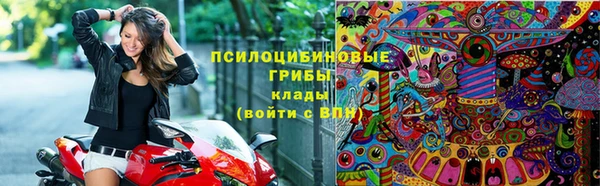 стаф Володарск