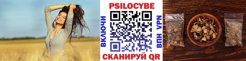 Псилоцибиновые грибы Psilocybe  MEGA как зайти  Зарайск 